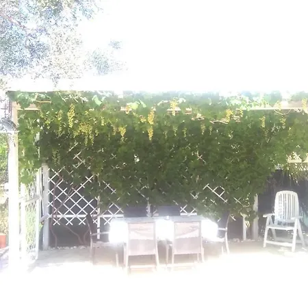 Apartment Oleandro Pergola *