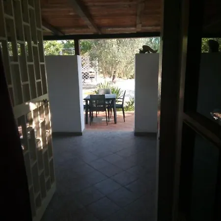 Oleandro Pergola * Вьесте